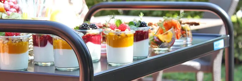 Hupfer Edelstahl Servierwagen und fahrbare Gerte