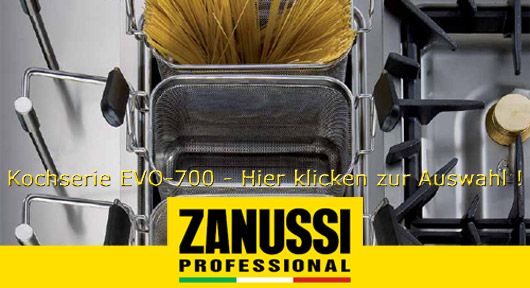 ZANUSSI-PROFESSIONAL-EVO-700