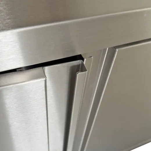 CAT Edelstahl Wandh�ngeschrank WHL-07-035 mit 2 doppelwandigen Fl�gelt�ren - Detailansicht des oberen Bereichs und der Griffleiste der Fl�gelt�ren.