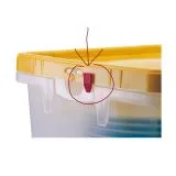 BOX Originalit�tsclip