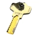 Generalschlssel fr Fach im Multipolar Gemeinschaftskhlschrank